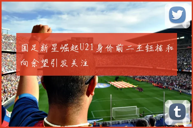 国足新星崛起U21身价前二王钰栋和向余望引发关注